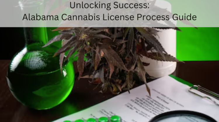 Alabama cannabis commission license Process