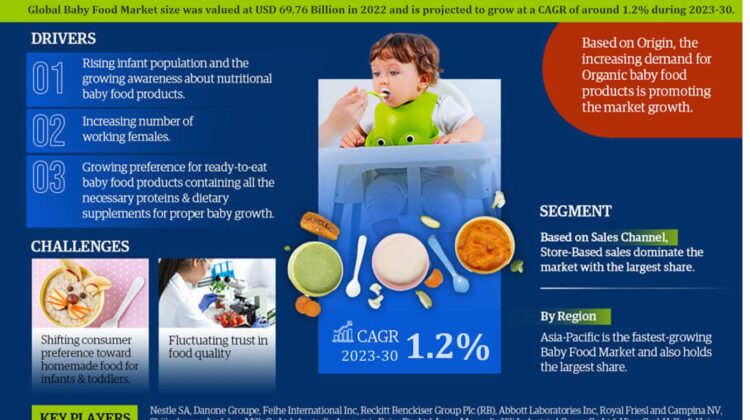 Baby Food Market, Baby Food Market Size, Baby Food Market Share, Baby Food Market Trends, Global Baby Food Market Report,