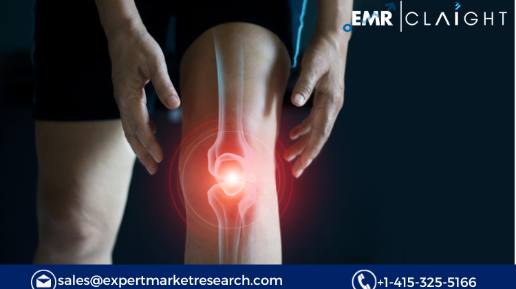 Bone and Joint Health Ingredients Market