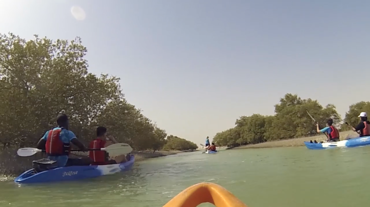 Qatar Kayaking