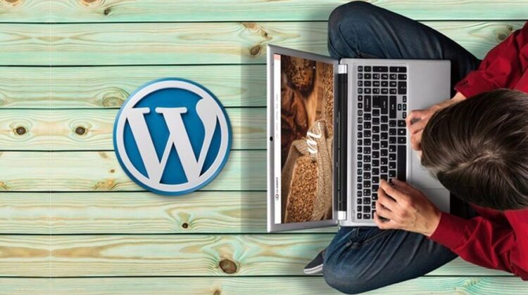 WordPress Course in Lahore