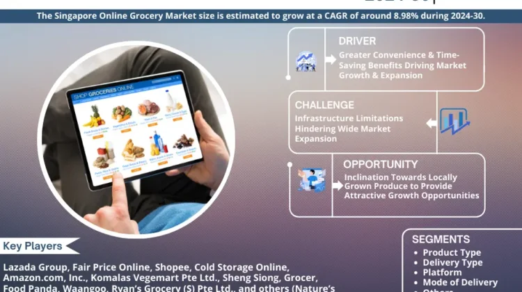 Singapore Online Grocery Market