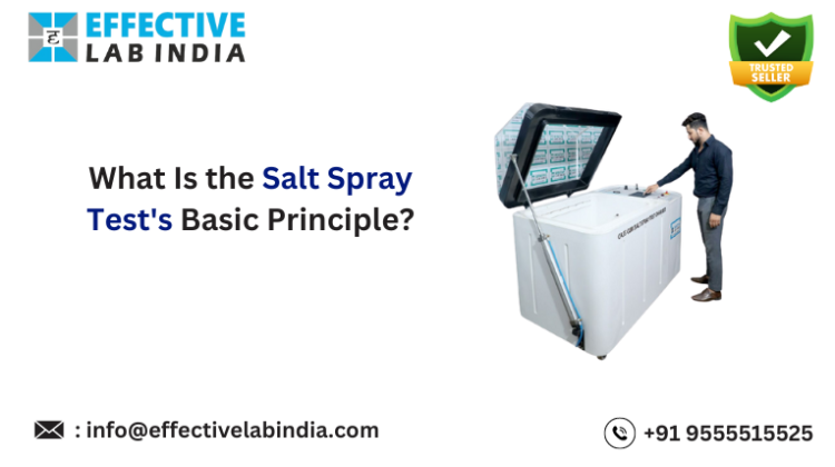 What Is the Salt Spray Test's Basic Principle