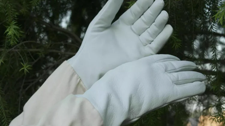 bee Gloves Ventilated Leather Gloves | Bee Brothers Industry