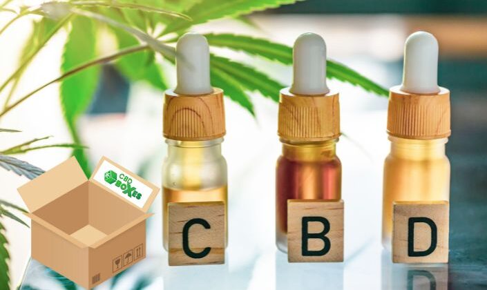 CBD Experience by Using Green Packaging